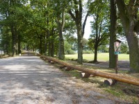 /album/fotogalerie-cyklistickou-naucnou-stezkou-okolo-trebone/okolo-trebone-jpg/